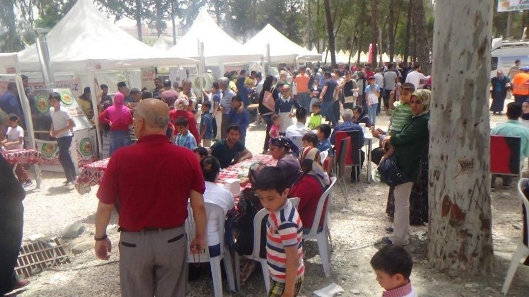 Kırıkhan&rsquo;da Ciğer Festivali