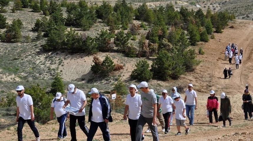 Ne&uuml; K&ouml;yceğiz Kamp&uuml;s&uuml;nde Doğa Y&uuml;r&uuml;y&uuml;ş&uuml; Yapıldı