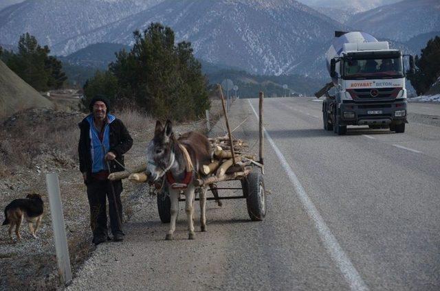 Tek Eşeği İle Çiftçilik Yapıyor 1