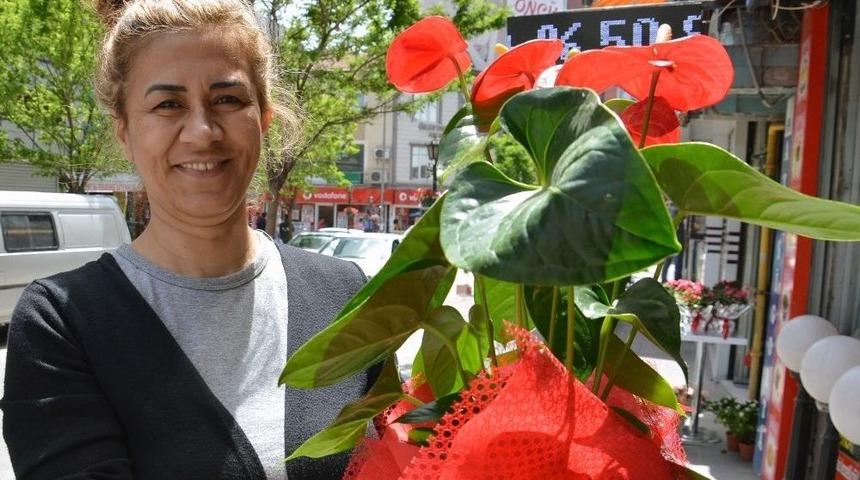 Anneler G&uuml;n&uuml;&rsquo;n&uuml;n Vazge&ccedil;ilmezi &Ccedil;i&ccedil;ekler