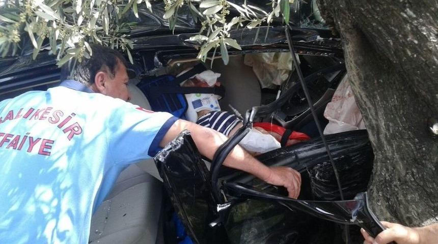 Tarlaya U&ccedil;an Otomobil Zeytin Ağacına &Ccedil;arparak Durabildi: 3 Yaralı