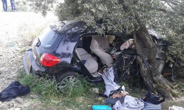 Tarlaya U&ccedil;an Otomobil Zeytin Ağacına &Ccedil;arparak Durabildi: 3 Yaralı 1