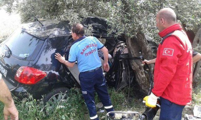Tarlaya U&ccedil;an Otomobil Zeytin Ağacına &Ccedil;arparak Durabildi: 3 Yaralı 2