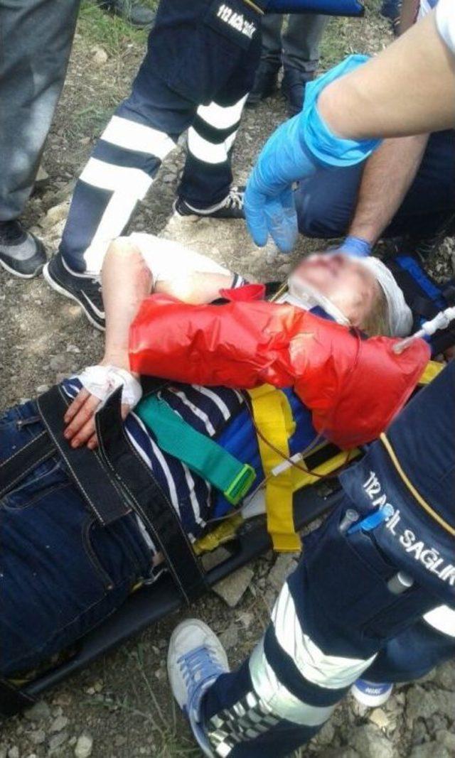 Tarlaya U&ccedil;an Otomobil Zeytin Ağacına &Ccedil;arparak Durabildi: 3 Yaralı 3