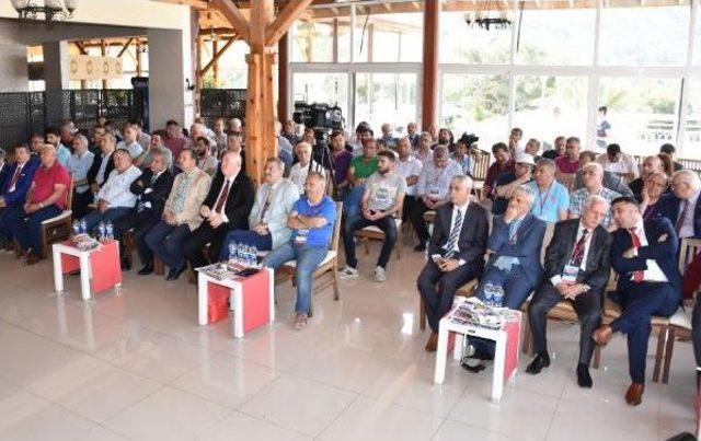 Kolaylı, Tgk&rsquo;Da G&uuml;ven Tazeledi 1