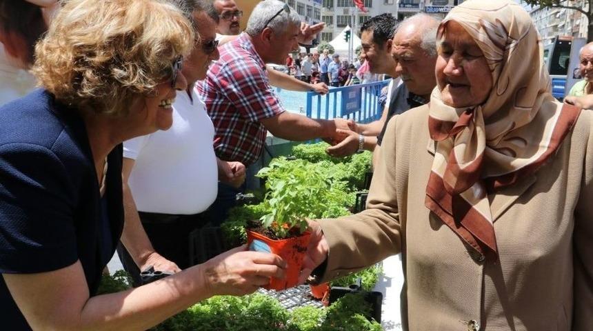 Manisa&rsquo;da Annelere 5 Bin Adet Fesleğen Dağıtıldı