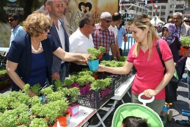 Manisa’da Annelere 5 Bin Adet Fesleğen Dağıtıldı