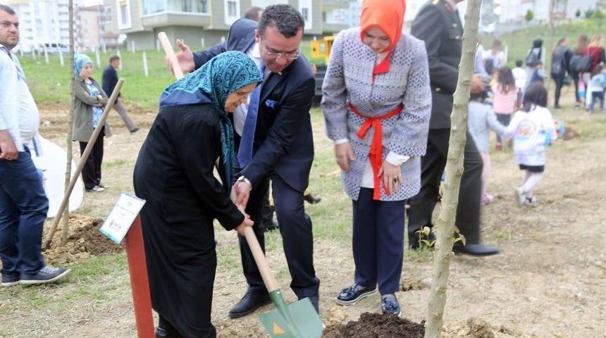 En &Ouml;zel Anneler Fidan Dikti