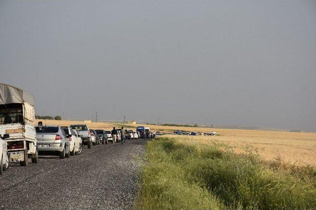 Adıyaman’da 2 Kardeşin Cesedi Bulundu