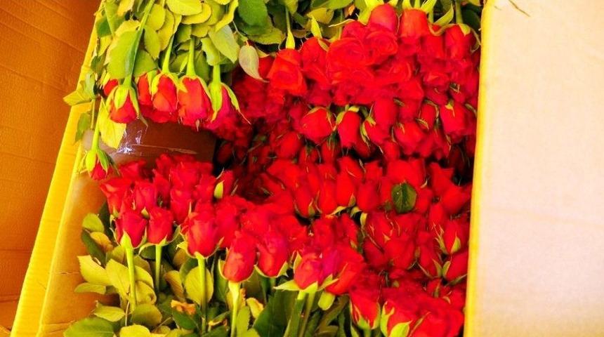 Ayvalık Sebze Ve Meyveciler Anneleri Unutmadı