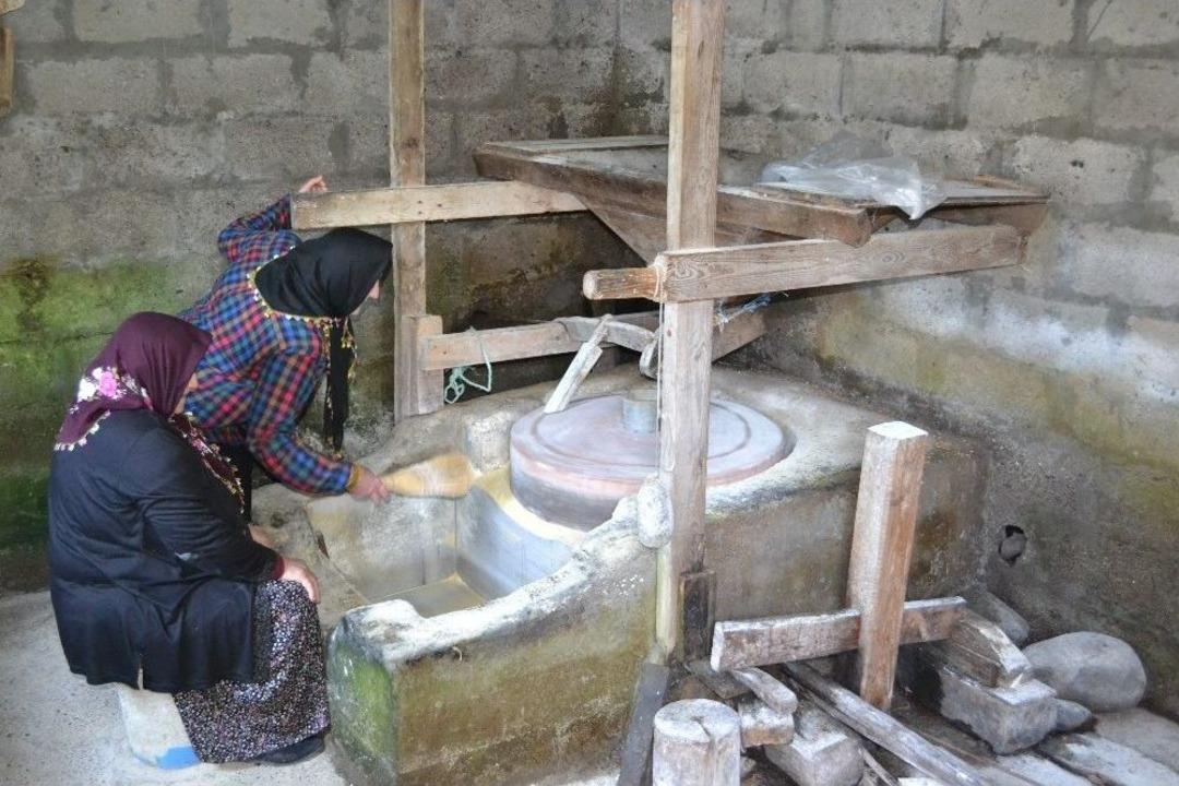 Organik &Uuml;retip Organik Besleniyorlar