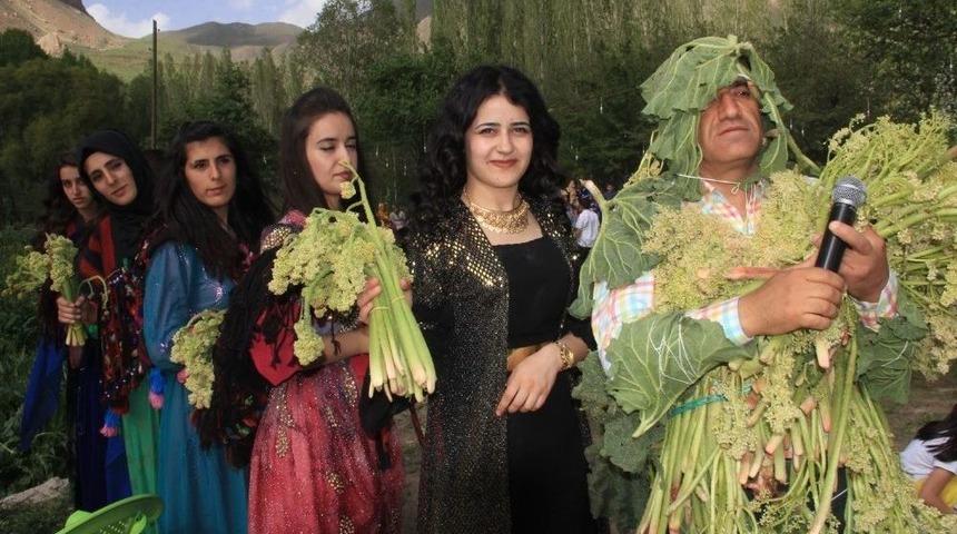 D&uuml;ğ&uuml;n T&ouml;reninde U&ccedil;kun Festivali