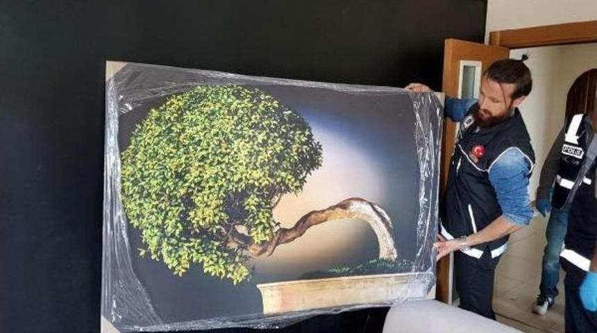 Sitedeki Dairede 18 Saksıda Yetiştirilen Hint Keneviri Ele Ge&ccedil;irildi