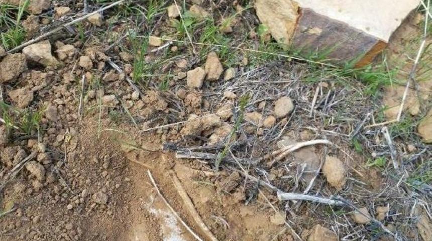 Bing&ouml;l'de 3 El Yapımı Patlayıcı Imha Edildi