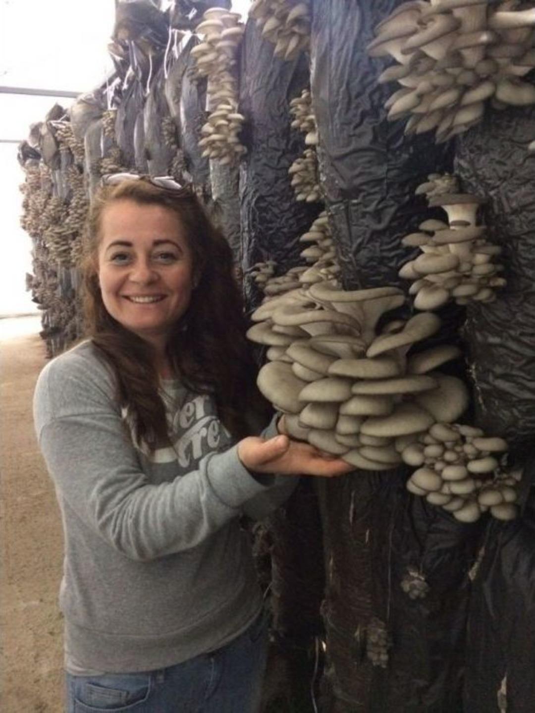 (&ouml;zel Haber) Bu Mantar S&uuml;rekli T&uuml;ketildiği Takdirde Kanser Hastalarının Sorunlarını Azaltıyor