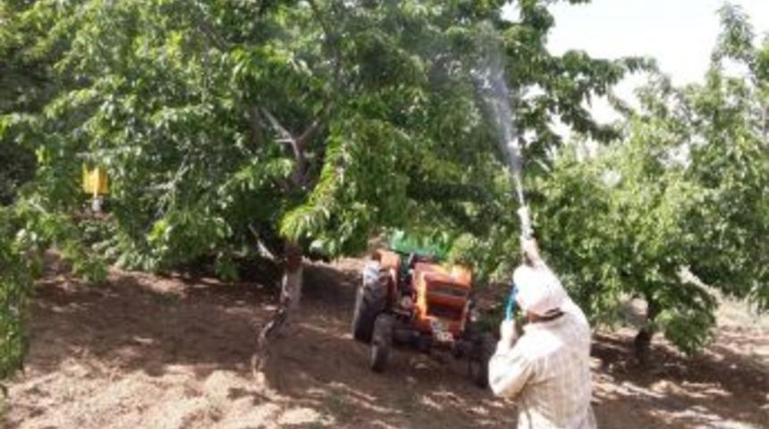 Meyve Bah&ccedil;elerinde Zirai M&uuml;cadele