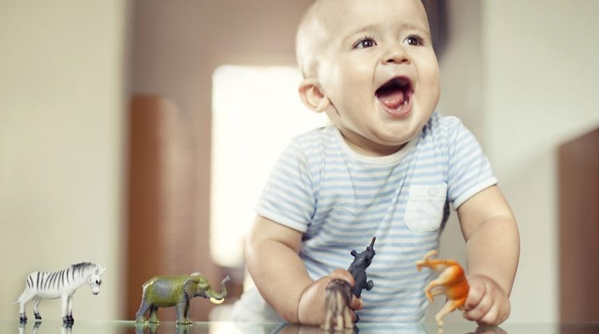 24-36 Ayda Bebeklerde Oyun ve Aktivite