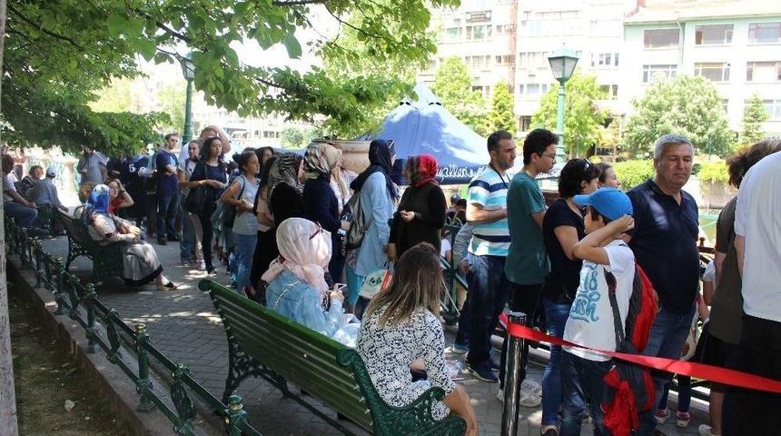Bu Da Gondol Kuyruğu