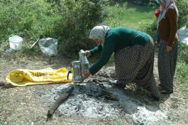 İneğini Düştüğü Yerden Çıkaramayınca Yanında Yatıyor