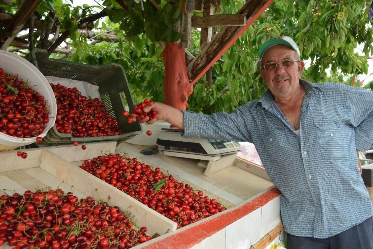 Ertuğrul Gazi T&uuml;rbesine Artan İlgili Esnafın Da Y&uuml;z&uuml;n&uuml; G&uuml;ld&uuml;rd&uuml;