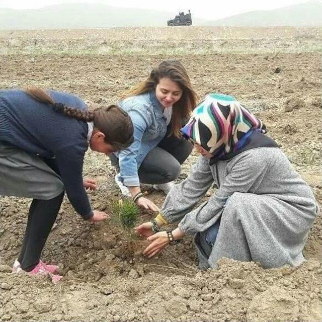 Saray’da 3 Bin Çam Fidanı Dikildi