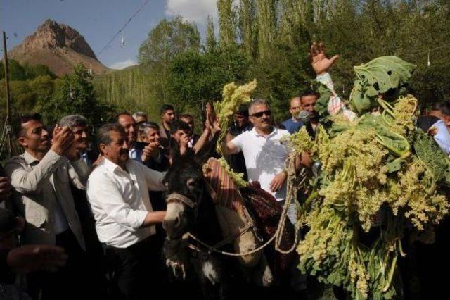 Hakkari'de Köy Düğününde 'uşkun Festivali'