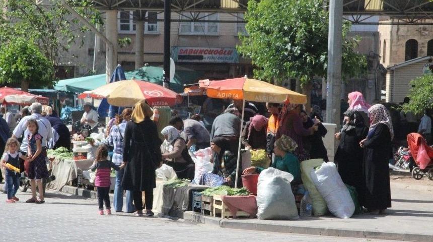 Asma Yaprağına Yoğun İlgi