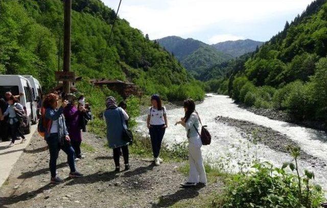 Fırtına Vadisi Ve Ayder Yaylası'na Turist Akını