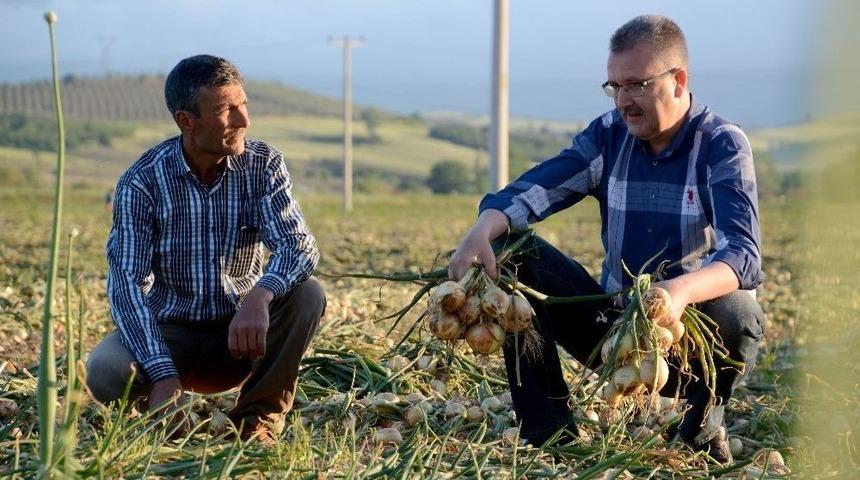 Başkan &Ouml;zkan, D&uuml;nya &Ccedil;ift&ccedil;iler G&uuml;n&uuml;nde Tarım İş&ccedil;ileriyle Beraber Soğan Topladı