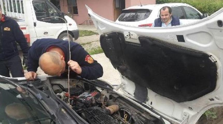 Aracın Motor Kısmına Giren Kediyi Itfaiye &Ccedil;ıkardı