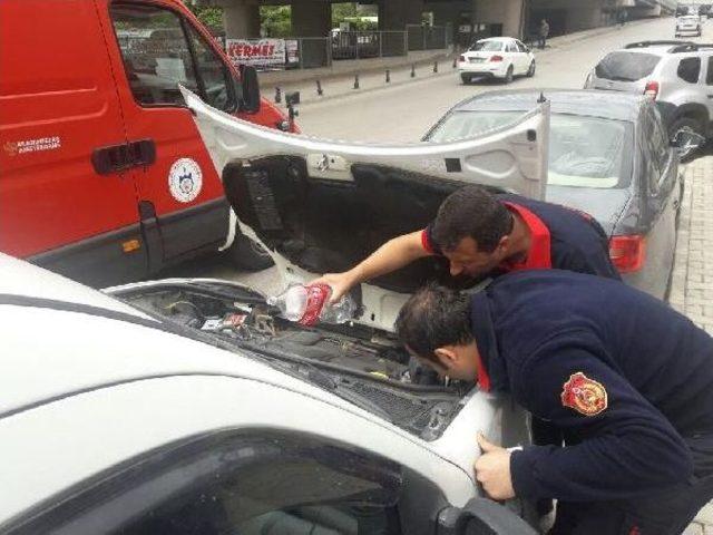 Aracın Motor Kısmına Giren Kediyi Itfaiye Çıkardı