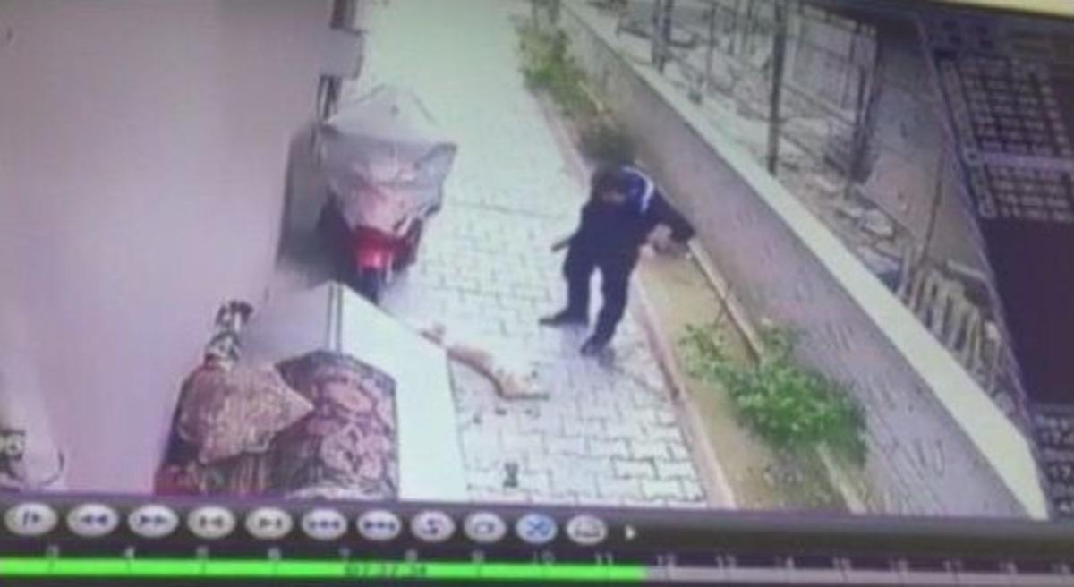 K&ouml;peğin &Ccedil;alınma Anı Saniye Saniye Kameraya Yansıdı