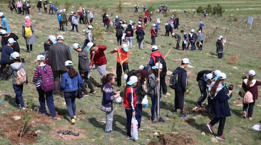 İldem B&ouml;lgesine 500 &Ccedil;am Fidanı Dikildi