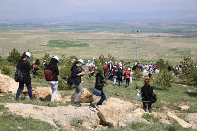 İldem B&ouml;lgesine 500 &Ccedil;am Fidanı Dikildi 1
