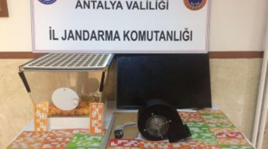 Jandarmadan Huzur Operasyonu