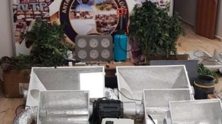 Apartman Dairesinde 223 K&ouml;k Hint Keneviri Ekmiş