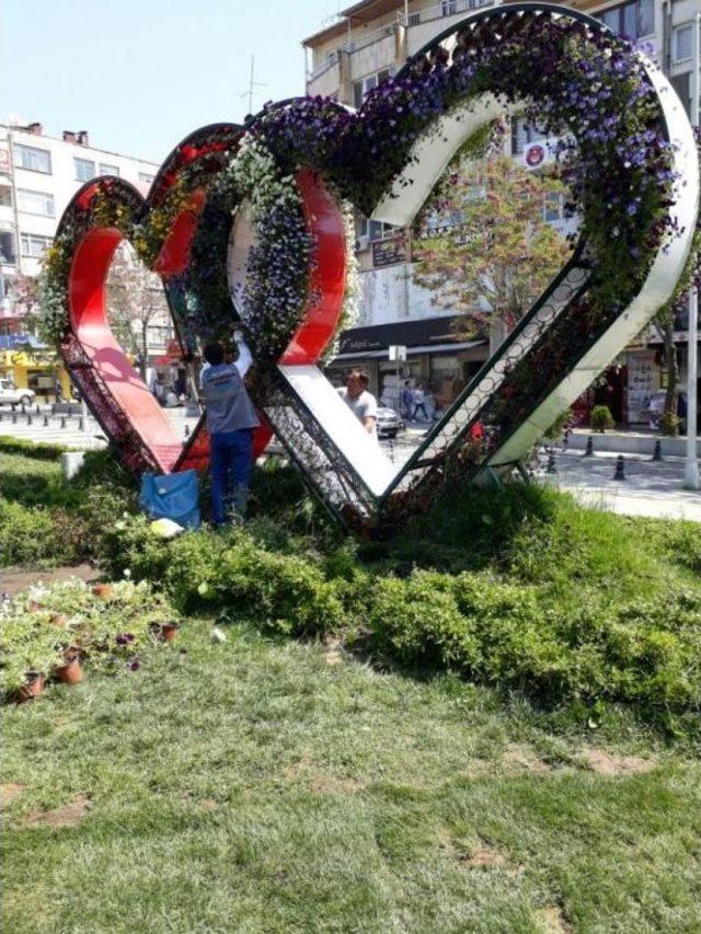 İzmit Parkları Mevsimlik Çiçeklerle Süslendi