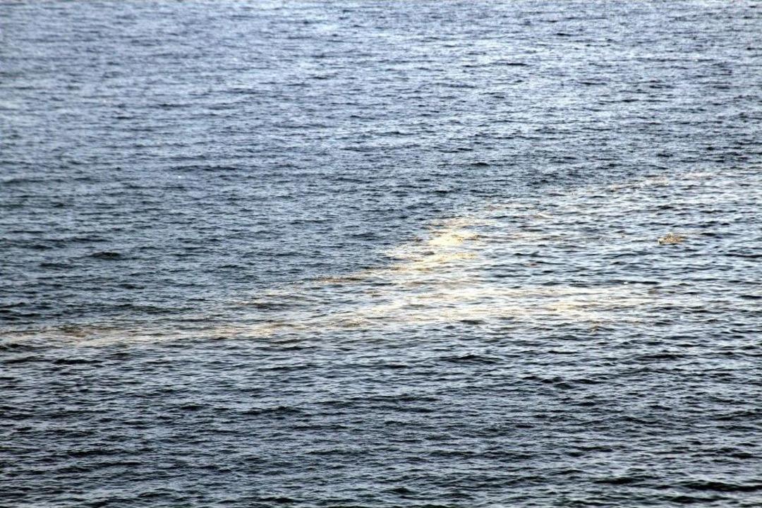 D&uuml;nyaca &Uuml;nl&uuml; Sahilde D&uuml;ş&uuml;nd&uuml;ren G&ouml;r&uuml;nt&uuml;