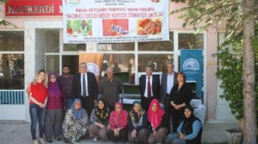 Elazığ&rsquo;da Kadınlara 10 Bin Domates Fidesi Dağıtıldı