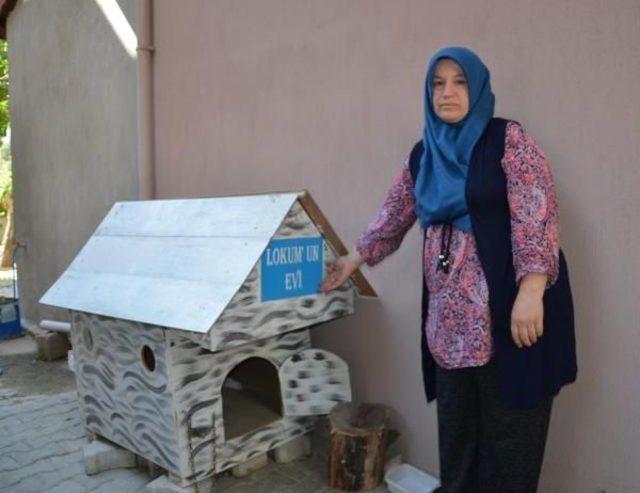 K&ouml;pek Hırsızlığı G&uuml;venlik Kamerasında 1