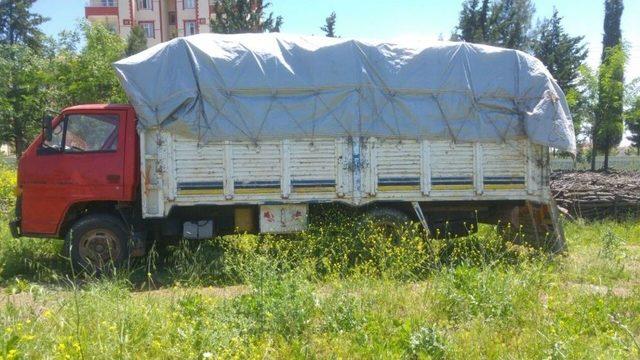 Kaçak Meşe Ağacı Kesen İki Kişiye Para Cezası Uygulandı