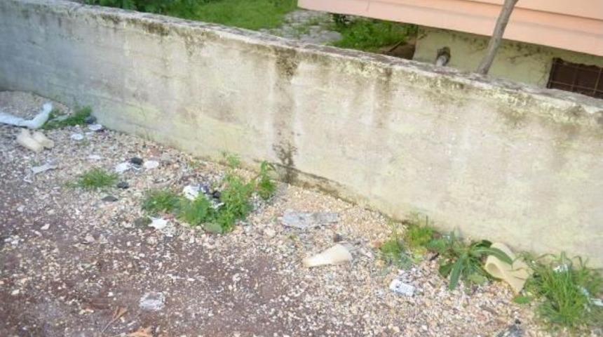 Yeni Doğan Bebeğini Sokağa Terk Eden Anne Tutuklandı