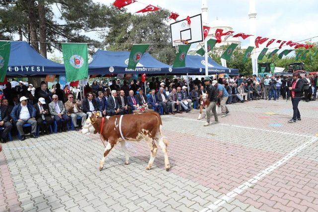 Arnavutköy’de “çiftçiler Bayramı” Kutlandı