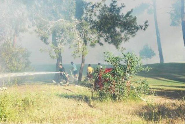 Sazlık Alanda Çıkan Yangın Golf Sahasına Sıçradı