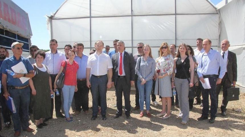 Rusya Tarım Bakanlığı Heyeti Serik&rsquo;teki Seraları İnceledi
