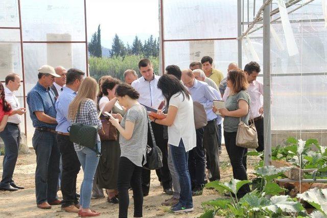 Rusya Tarım Bakanlığı Heyeti Serik’teki Seraları İnceledi