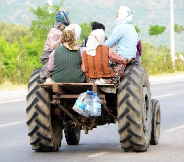 Traktörle Tehlikeli Yolculuk 2