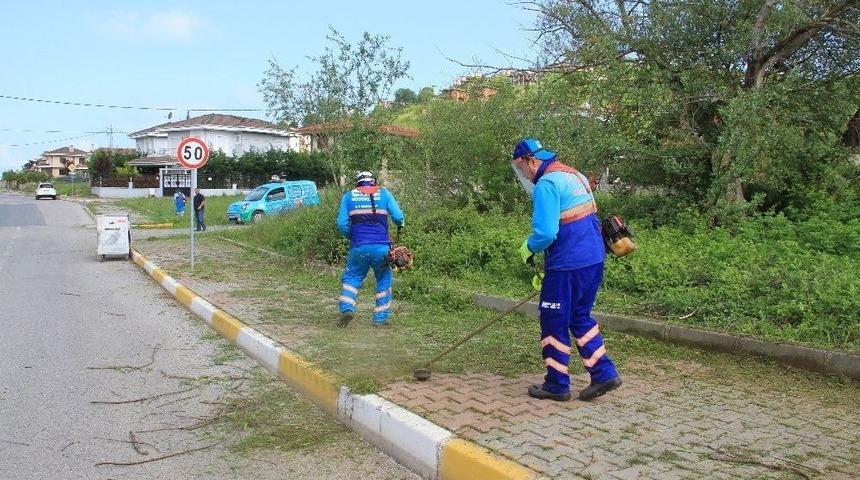 Şile&rsquo;de Temizlik Hareketi