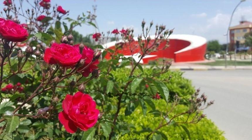 Yaz &Ccedil;i&ccedil;ekleri Toprakla Buluştu