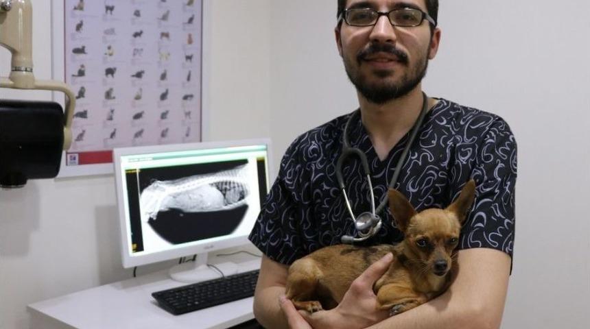 (&ouml;zel Haber) Veterinerlerden Hayvan Sahiplerine Uyarı